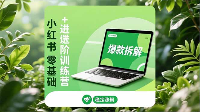 图片[1]-小红书运营全攻略：基础+进阶-打造你的小红书爆款账号