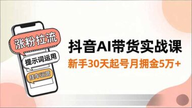 抖音图文短视频带货涨粉引流到挂车带货全流程-资源网站
