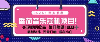 2025番茄音乐挂机新风口-每天5分钟-矩阵操作月入破千＋_抢占蓝海先机-资源网站