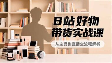 B站内容带货变现全攻略-实战课程带你起飞-资源网站