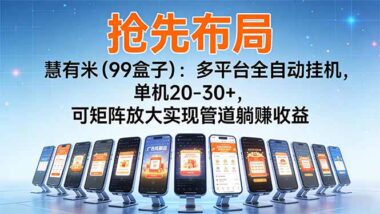 想副业赚钱？慧有米强势回归-手机操作秒提现-资源网站
