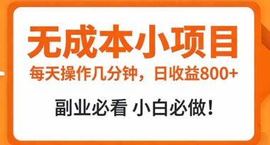 零成本暴利小项目-每天5分钟-日赚800+实操攻略-新手速成副业王-资源网站