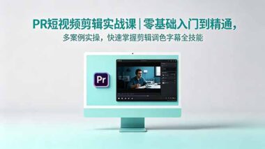 PR短视频剪辑：零基础7天实战通关-12个真实案例手把手教你剪辑+调色+字幕-学完直接接单-资源网站