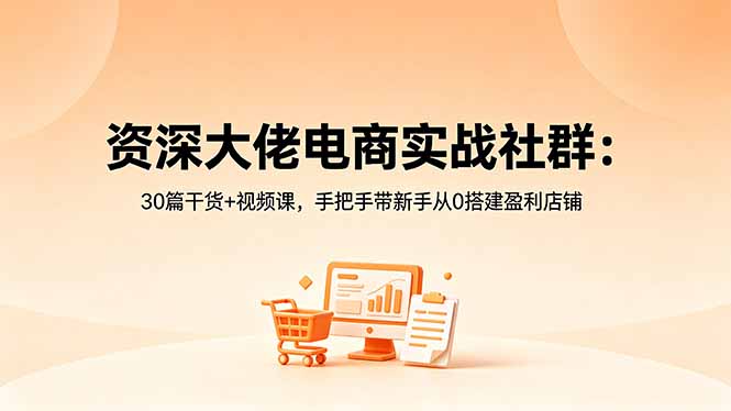 图片[1]-2024新手做电商必看-资深大佬30篇干货+视频课-手把手从0搭建盈利店铺