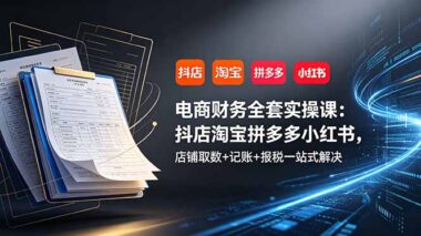 电商财务全套实操教程：抖店/淘宝/拼多多/小红书取数+记账+报税一站式搞定（附实操案例）-资源网站